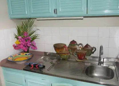 El Pelicano Apart-Hotel - 22