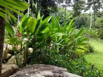 Beach Villa Phangan - 10