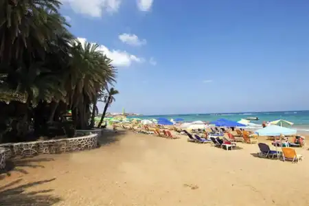Zeuss Palm Beach - 22