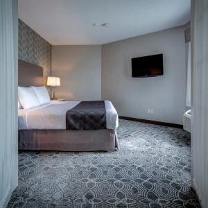 Monte Carlo Inn Toronto - Markham - 38