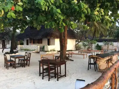 Coco Beach - 13