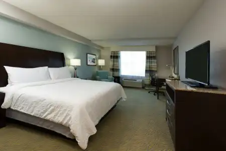 Hilton Garden Inn Daytona Beach Oceanfront - 4