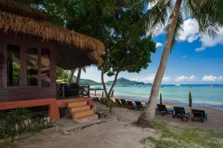 Palm Leaf Resort - 94
