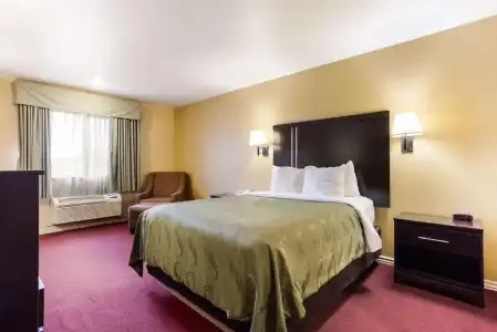 Quality Inn Airport - 35