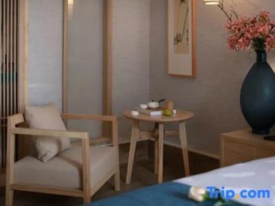Hôtel Ibis Toulouse Purpan - 70