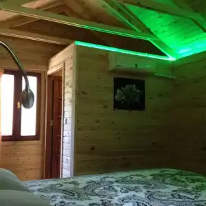 Kidrak Motel - 20