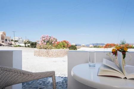 Thira's Dolphin - 49