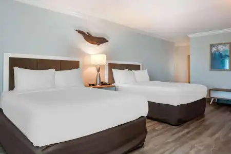 Dolphin Sands Clearwater Beach, an Ascend Collection - 49