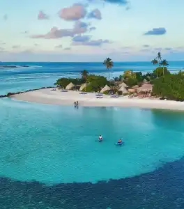 The Maverick Surf and Dive Boutique - 11