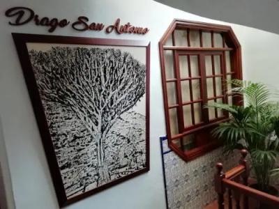 Drago San Antonio - 17