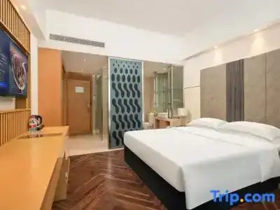 Metropolo Guangzhou Wanda Plaza Baiyun Mountain - 45
