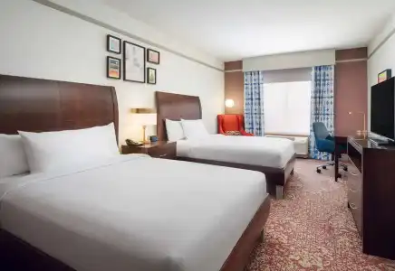 Hilton Garden Inn El Paso Airport - 46