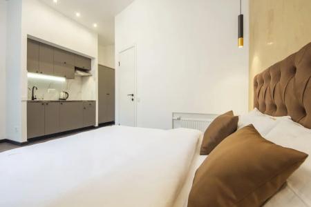 Central Dayflat Apartments - 392