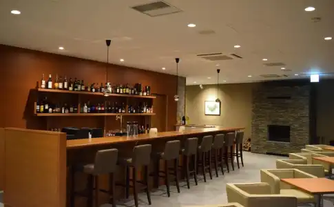 Regina Resort Karuizawa Mikageyousui - 16