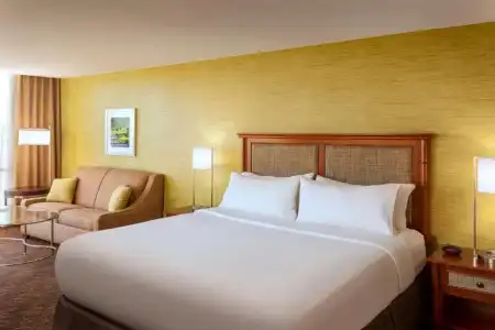 Holiday Inn AUSTIN-TOWN LAKE by IHG - 55