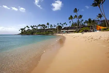 Napili Kai Beach Resort - 31