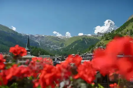 Mont Cervin Palace - 78
