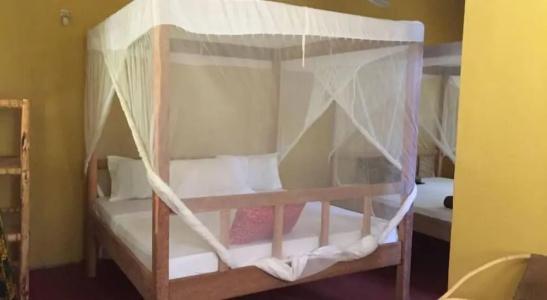 Mpole Bungalows - 25
