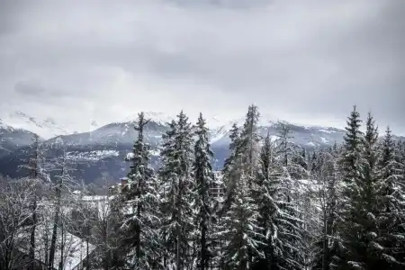 Alpine Dependance by Arenas Resort Valaisia - 55