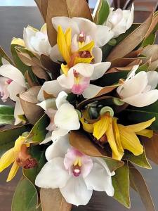 Piccolo Etruria - 52