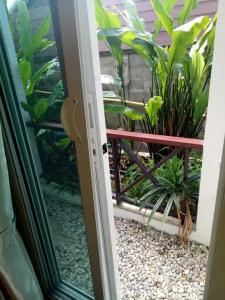 Baan Jaru - 45