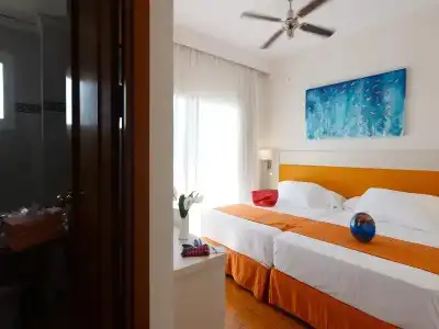 DiverDino Marbella - 13