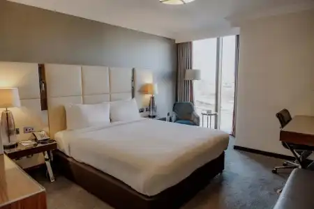 Hyatt Regency London Albert Embankment - 70