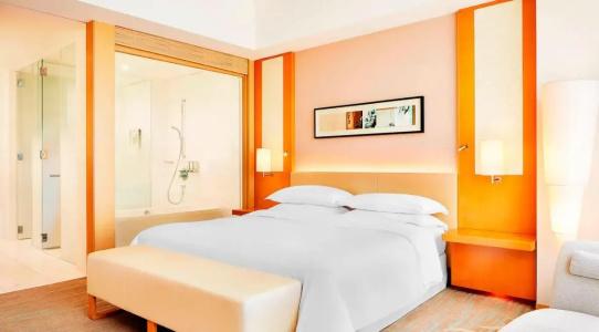 Sheraton Grand Hiroshima - 56