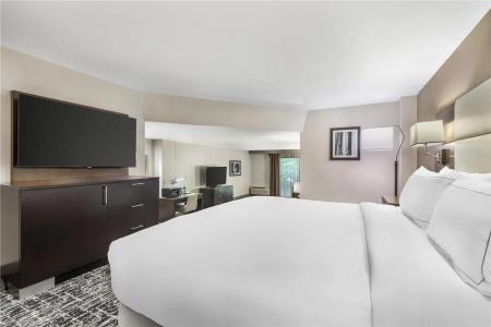 DoubleTree by Hilton Williamsburg - 97