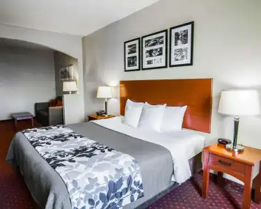 Sleep Inn & Suites New Braunfels - 19