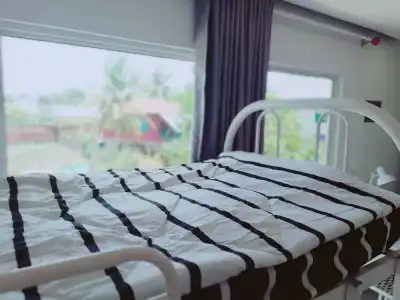 Cat's Hostel - 3