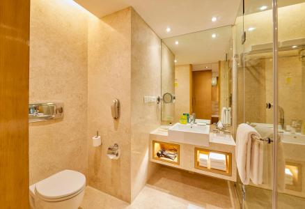 Holiday Inn Mumbai International Airport by IHG - 7