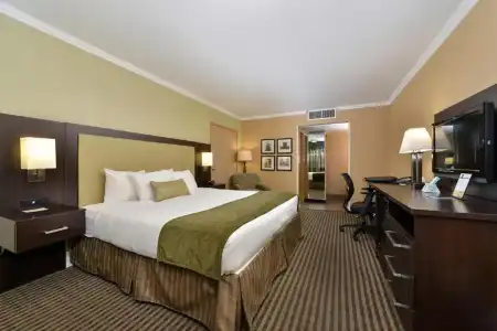 Royal Sun & Suites - 47