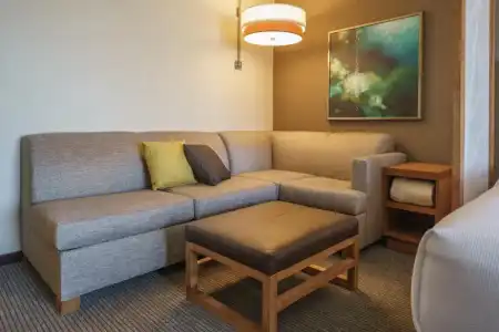 Hyatt Place Houston/Galleria - 27
