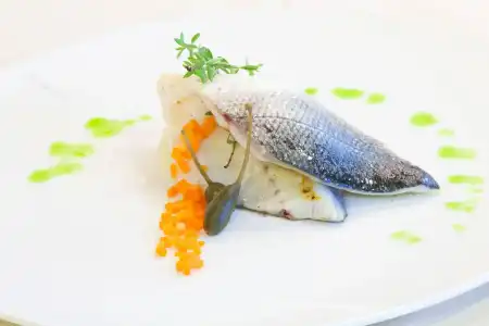 Kristal Palace - Tonellis - Adult Friendly - 12