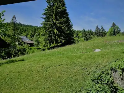 Schwarzwald-Pension Kräutle - 12