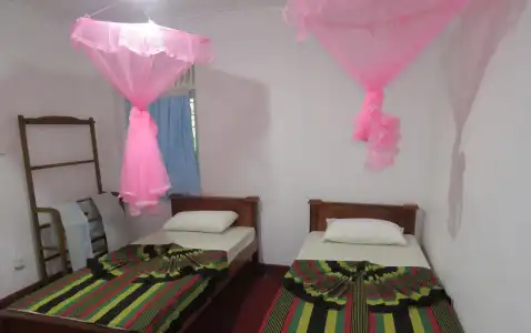 Blue Haven Guest House - 3