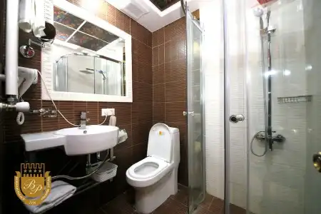 Borjomi Palace Health & Spa Center - 55