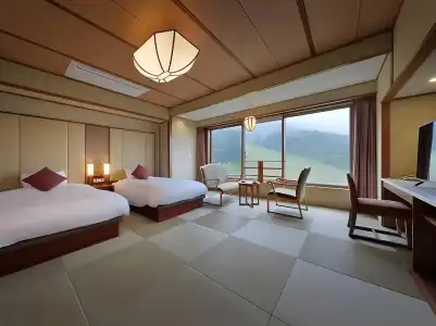Zao International - 30