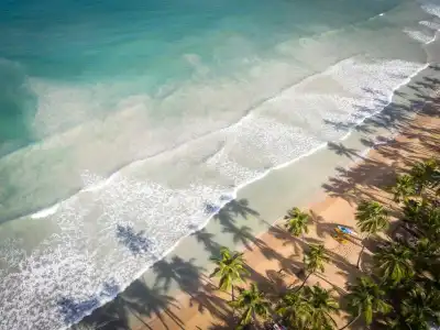 Sublime Samana & Residences - 49