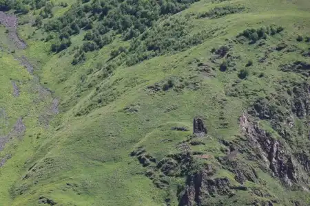 Crystal Kazbegi - 29