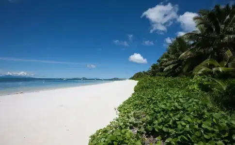 Villas des Alizes Beachfront Suites and Garden Villas - 10
