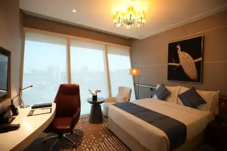 VIP - 54