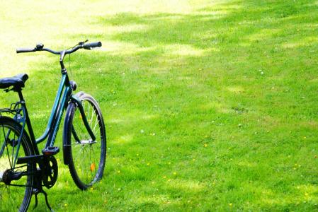 Sunflower Hostel Berlin - 11