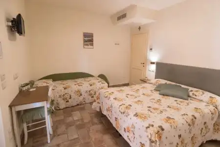 Rosa di Assisi - 44