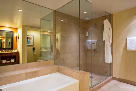 JW Marriott Phoenix Desert Ridge Resort & Spa - 109