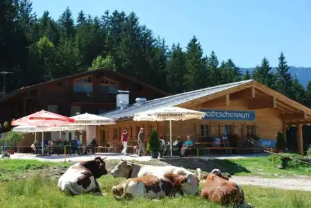 Alpengasthof Götschenalm - 32