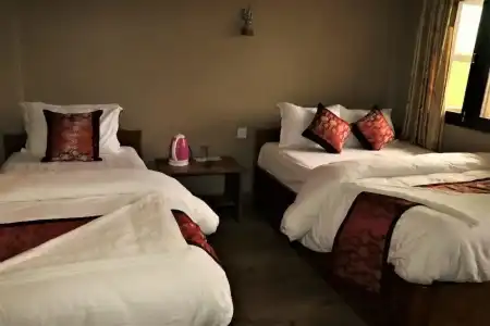 Sauraha Resort - 8