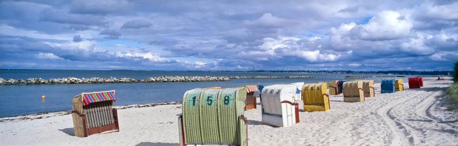 Birke, RingKiel - 22