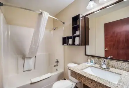Quality Inn & Suites Augusta Fort Gordon Area - 7